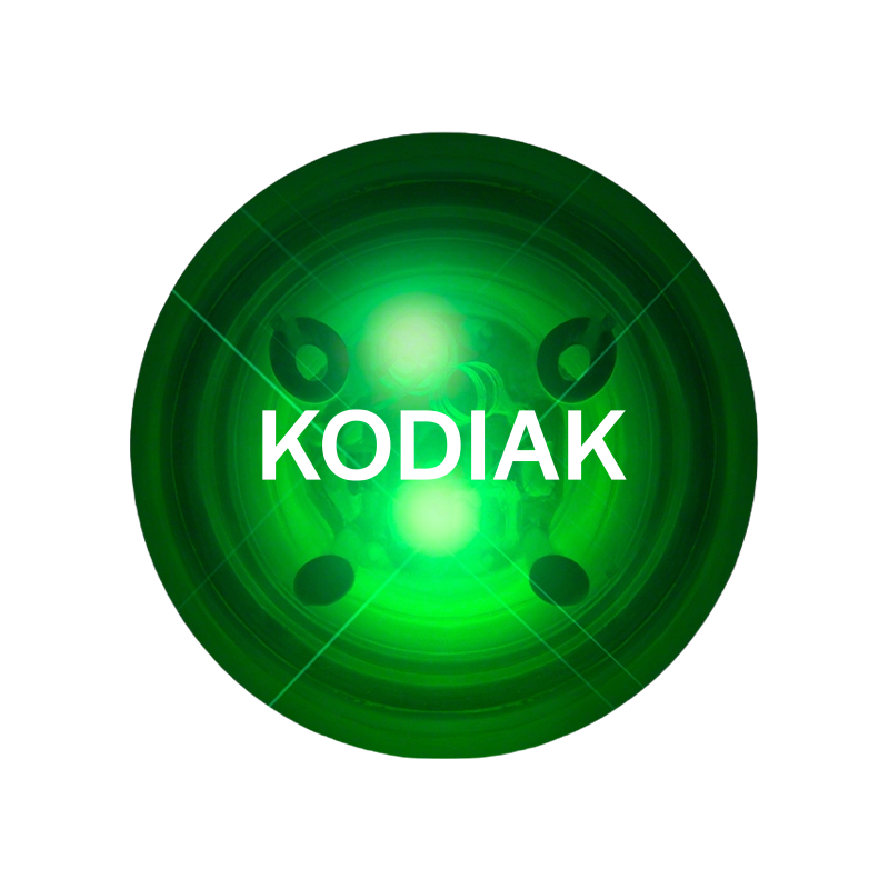 Kodiak LED Light Up Bouncy Ball
