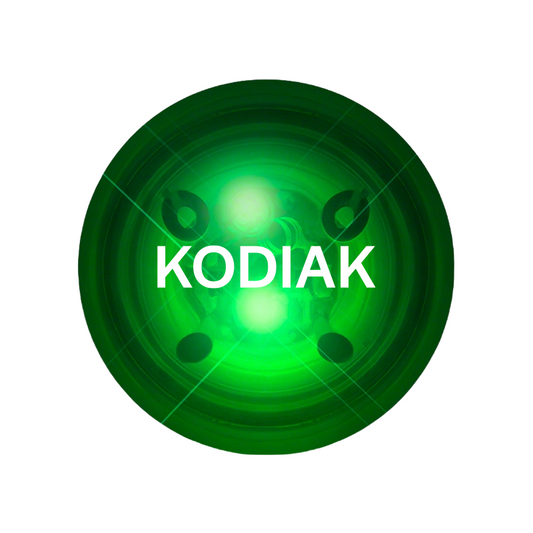 Kodiak LED Light Up Bouncy Ball
